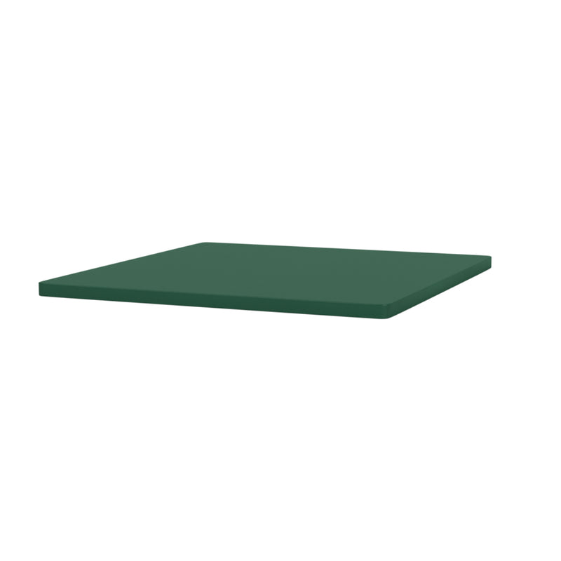 Montana - Abdeckplatte für Panton Wire | 34,8 x 34,8 cm / MDF pine green