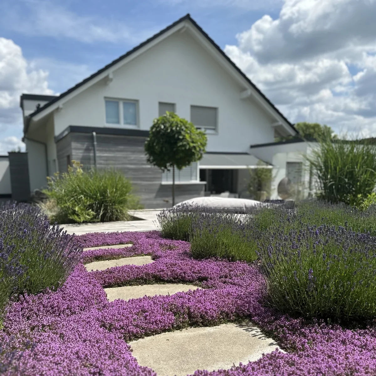 Durch die Schiebetür ins Gartenparadies