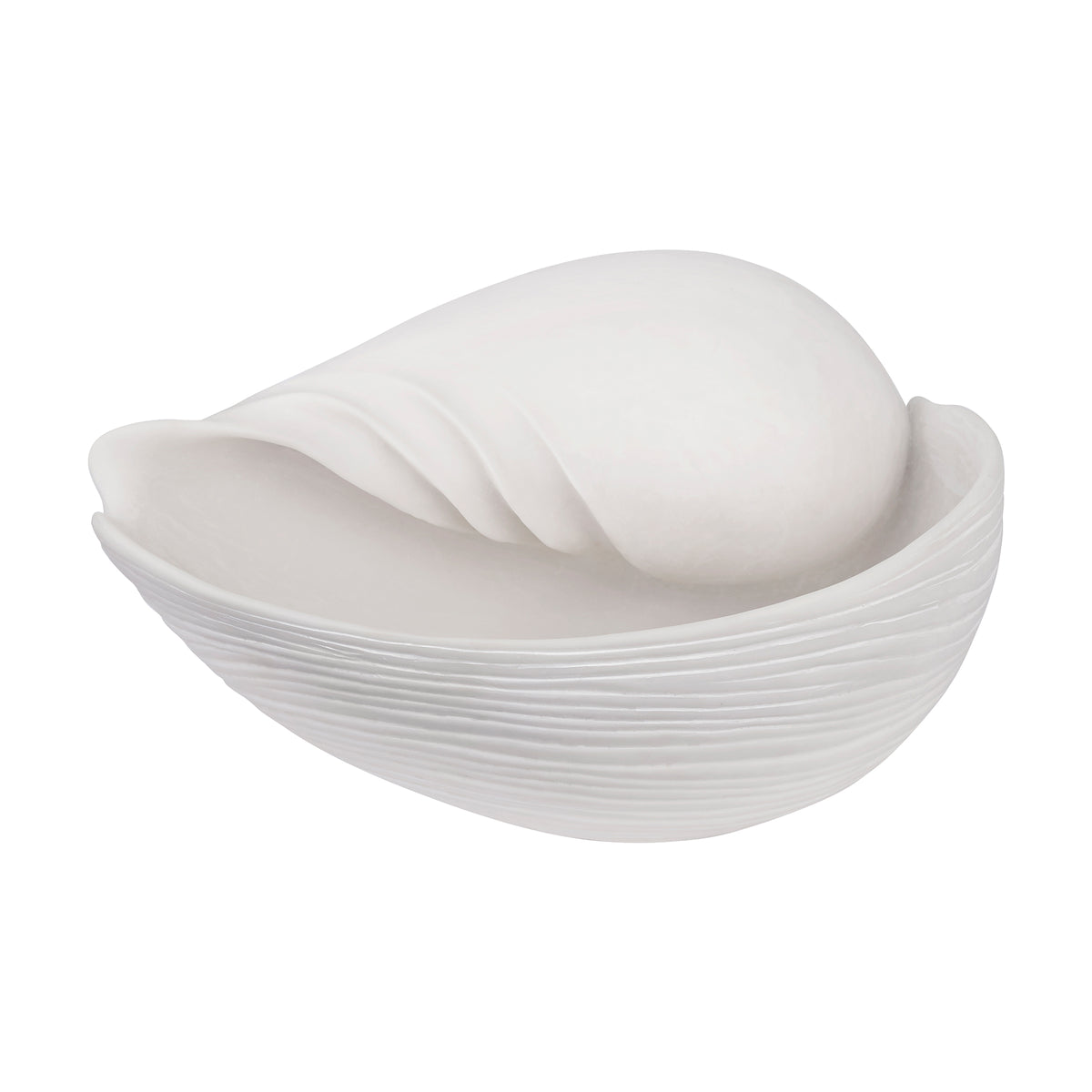 Mette Ditmer - Conch Muschel | large