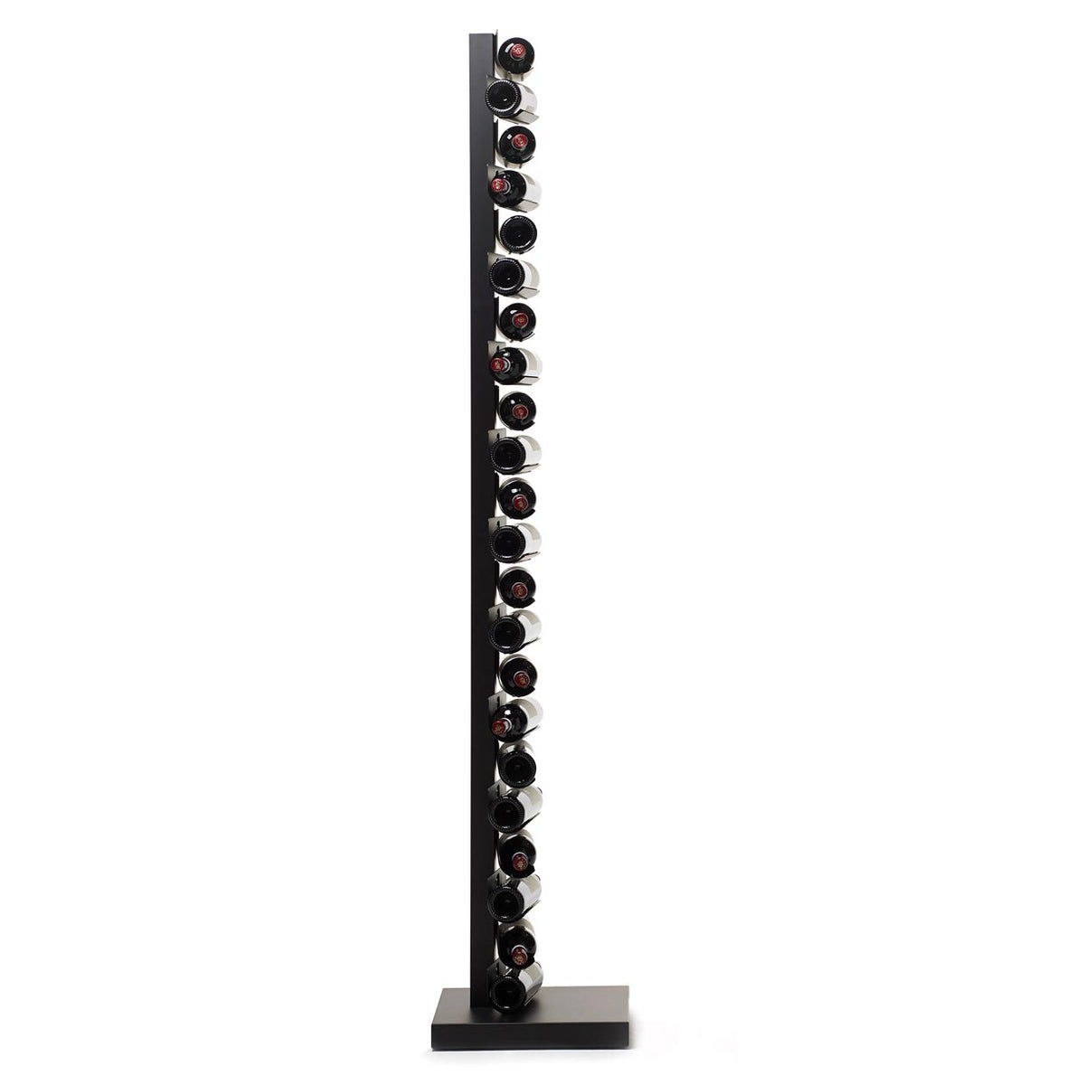 Opinion Ciatti - Ptolomeo Vino Standregal | H 213 cm